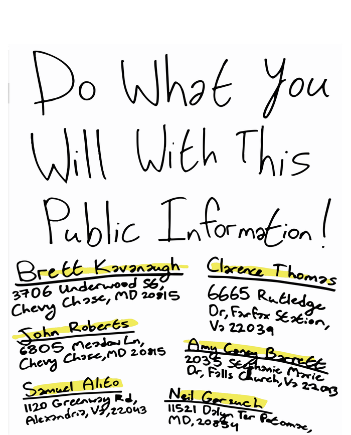 Do What You Will With This Public Information Brett Kavanaugh Canvas