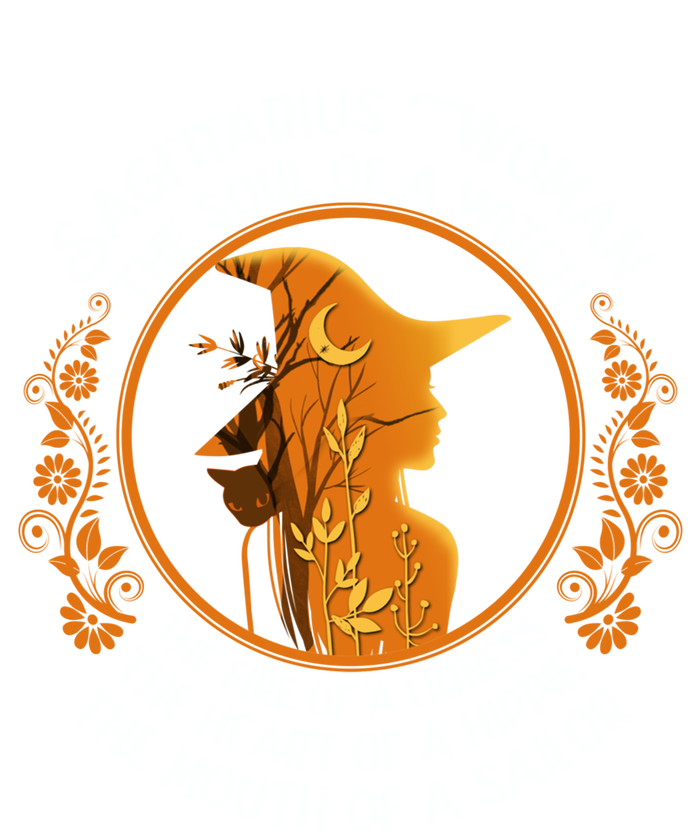 Sagittarius The Soul Of A Witch Zodiac Sign Birthday Cool Gift T-Shirt