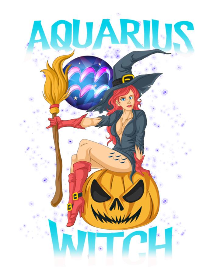 Aquarius Witch And Cute Pumpkin And Astrology Great Gift T-Shirt