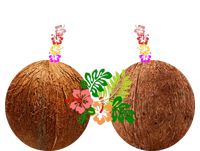 Coconut Bra Hawaii Luau Costume Funny Premium T-Shirt