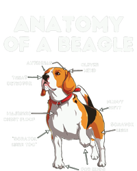 Funny Anatomy Of A Beagle Kids Hoodie