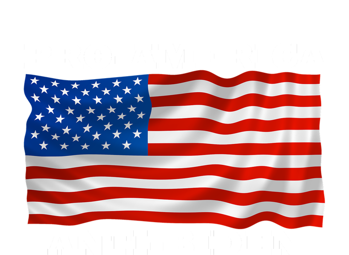 Pro-America Anti-Biden   T-Shirt