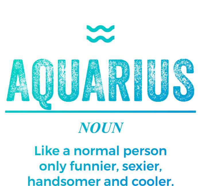 Aquarius Definition Funny Zodiac Gift Great Gift T-Shirt