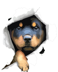 Rottweiler Rottie Rottweiler Lover Cute Rottweiler Cool Comfort Performance Bucket Hat