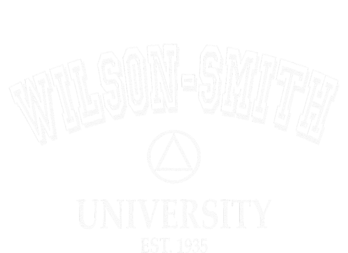 Addiction Recovery WILSON SMITH UNIVERSITY Alcoholics AA Hoodie