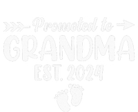 Soon To Be Grandma 2024 Gift Promoted To Grandma Est 2024 T-Shirt