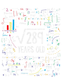 Square Root Of 289 17th Birthday 17 Year Old Gifts Math Bday T-Shirt