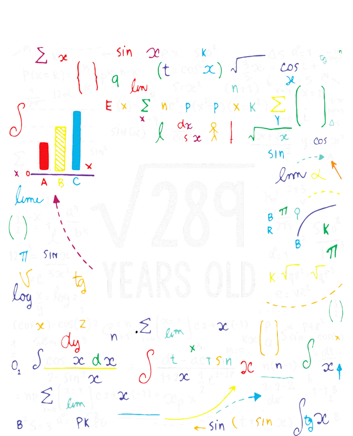 Square Root Of 289 17th Birthday 17 Year Old Gifts Math Bday T-Shirt