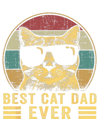 Vintage Best Cat Dad Ever Bump Fi Funny Fathers Day Women's Tri-Blend 3/4-Sleeve Raglan Shirt