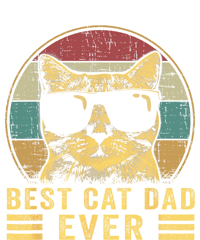 Vintage Best Cat Dad Ever Bump Fi Funny Fathers Day Women's Tri-Blend 3/4-Sleeve Raglan Shirt