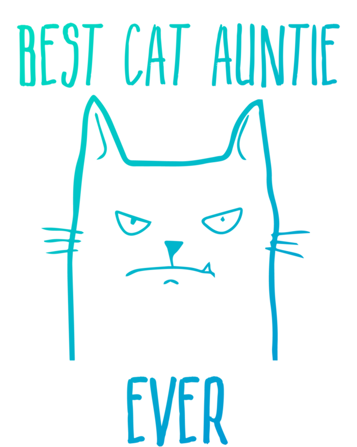 Best Cat Auntie Ever Cat Lover Gift Funny Gift Valucap Bio-Washed Visor