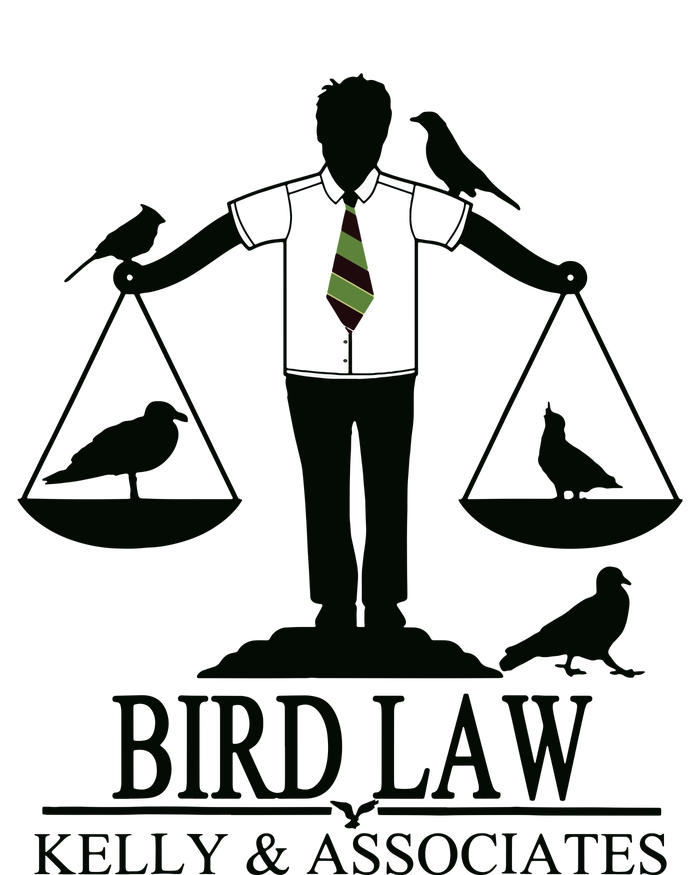 Bird Law T Funny Long Sleeve Shirt