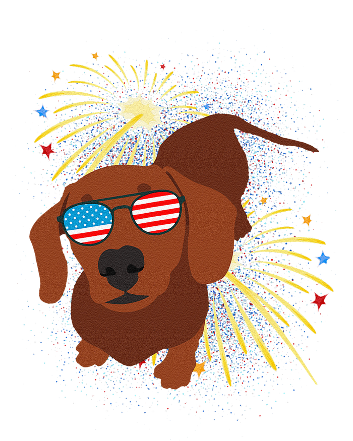 Cool Dog In USA Flag Glasses With Fireworks 4th July Day Hoodie