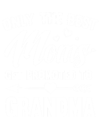 Family 365 Best Moms Get Promoted To Grandma Mothers Day Gift Softstyle Adult Sport Polo