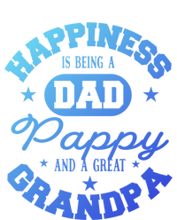 Family 365 Happiness Is Being A Dad Pappy And Great Grandpa Cool Gift T-Shirt