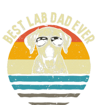 Funny Best Lab Dad Ever Labrador Dad Vintage Gift T-Shirt