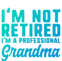 Im Not Retired Professional Grandma Retiret Funny Funny Gift Stripe Pom Pom Beanie