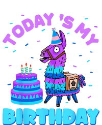 Todays My Birthday Llama Birthday Party Decorations Canvas