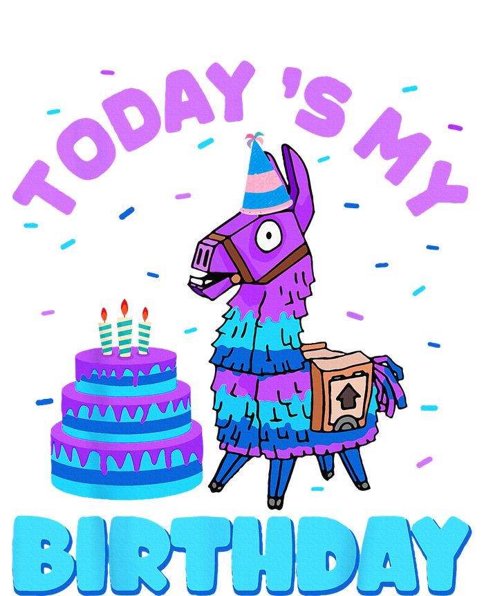 Todays My Birthday Llama Birthday Party Decorations Canvas