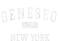 Geneseo New York NY Vintage Kids Hoodie