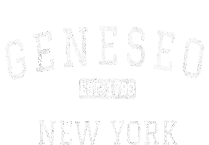 Geneseo New York NY Vintage Kids Hoodie