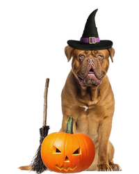 Dogue De Bordeaux Witch Hat Halloween Dog T-Shirt