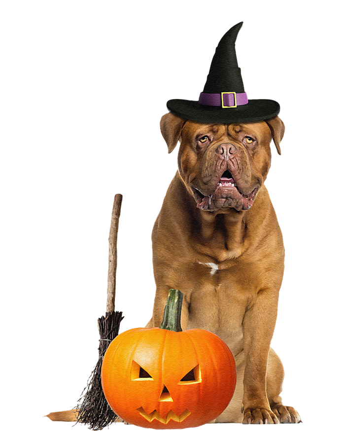 Dogue De Bordeaux Witch Hat Halloween Dog T-Shirt