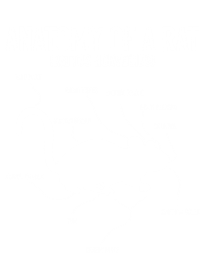 Anatomy Of Rat Rat Lovers And Pet Rat Owners Great Gift Premium Hoodie