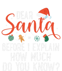 Dear Santa Before I Explain How Much Do You Know Christmas T-Shirt