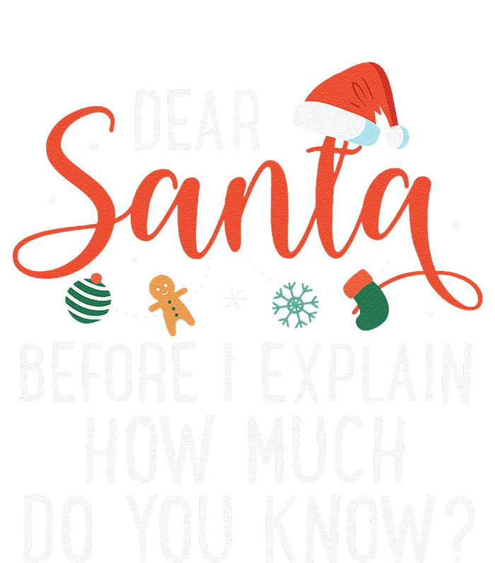 Dear Santa Before I Explain How Much Do You Know Christmas T-Shirt