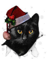 Black Cat Christmas Santa Hat Funny Cat Lover Christmas T-Shirt