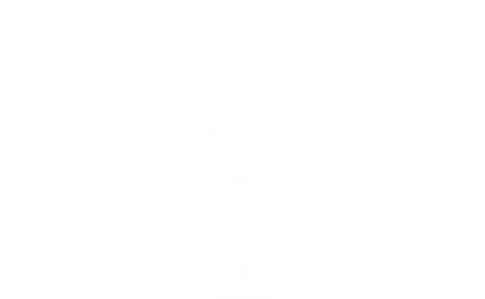 Tennessee Great Gift Retro Vintage Tennessee Gift Funny Gift Tn Premium T-Shirt