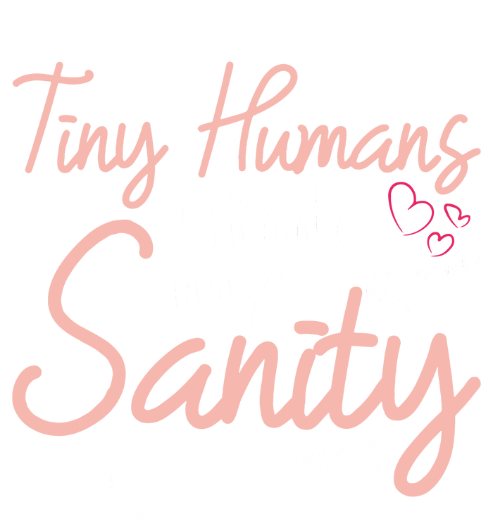 Childcare Provider Daycare Teacher Stole My Sanity Women's T-Shirt