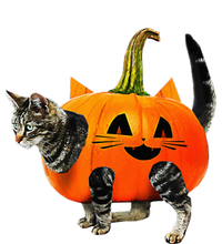 Funny Halloween Jack O Lantern Pumpkin Cat V-Neck T-Shirt