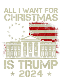 Trump Back 2024 All I Want For Christmas Is A New President T-Shirt