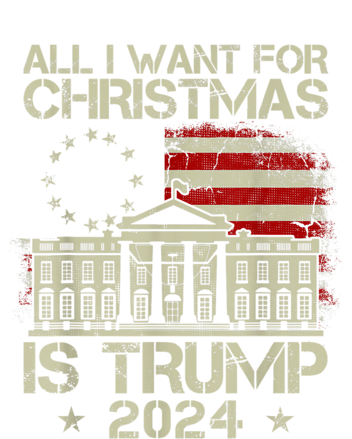 Trump Back 2024 All I Want For Christmas Is A New President T-Shirt