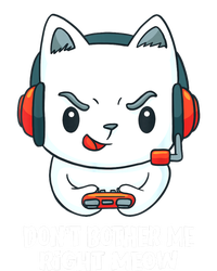 Funny Cat Video Gamer Dont Bother Me Right Meow Gits Kids Hoodie