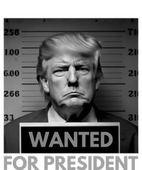 Trump wanted for President 2024 Trump Mugshot Womens Funnel Neck Pullover Hood