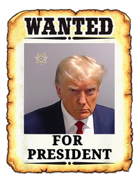 Wanted Donald Trump For President 2024 Tie-Dye T-Shirt