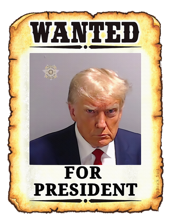 Wanted Donald Trump For President 2024 Tie-Dye T-Shirt