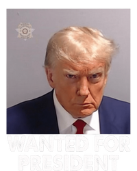 Mug Shot Trump Wanted For President Valucap Bio-Washed Visor