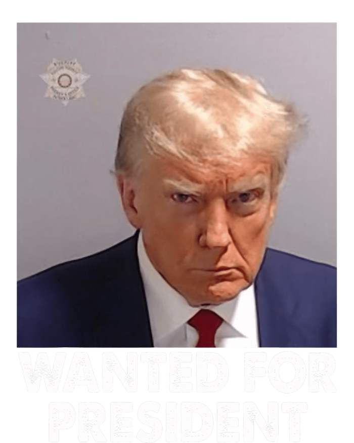 Mug Shot Trump Wanted For President Valucap Bio-Washed Visor