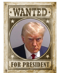 Wanted For President Funny Donald Trump Mugshot Hoodie