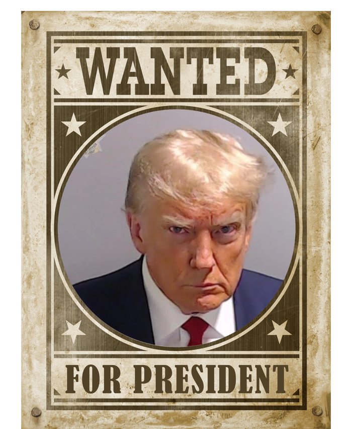 Wanted For President Funny Donald Trump Mugshot Hoodie