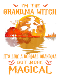 Im The Grandma Witch Its Like A Normal Grandma Halloween Gift Women's Flannel Pajama Set