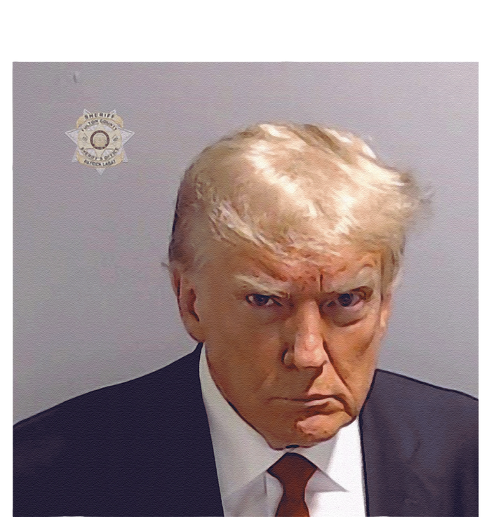 The Booking Photo Of Donald Trump Bumper Sticker