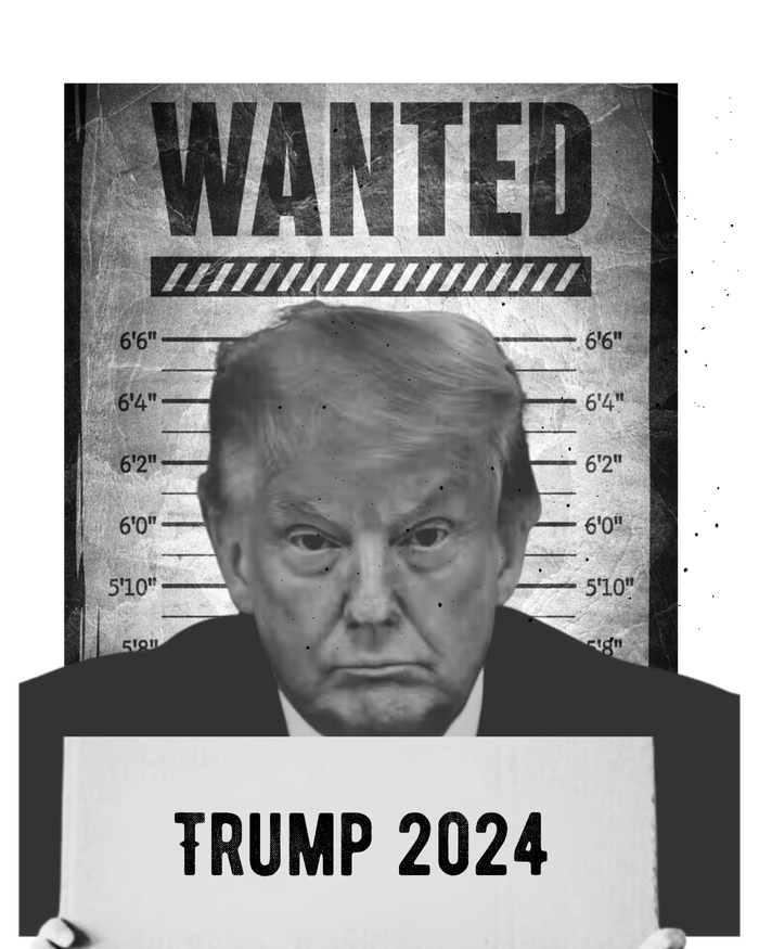 Trump Mugshot 2024 President Canvas