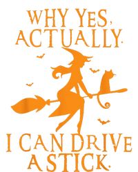 Why Yes Actually I Can Drive A Stick Halloween Witch & Cat T-Shirt