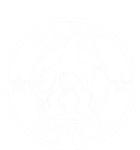 Basic Witch Halloween Witch Costume Fall Gift T-Shirt