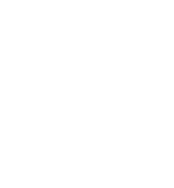 Basic Witch Halloween Witch Costume Fall Gift T-Shirt